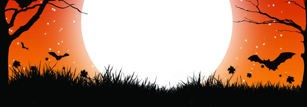 spooky moon with dark grass bats and trees