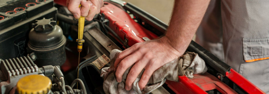 man checking oil in car