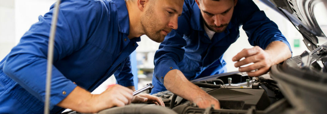 two mechanics under hood of car