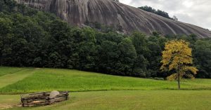 Field Green Places with kids Wade Ford
