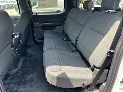 2024 Ford F-150 XL Hybrid