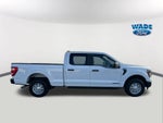 2023 Ford F-150 Special Service Vehicle 4WD SuperCrew 5.5' Box