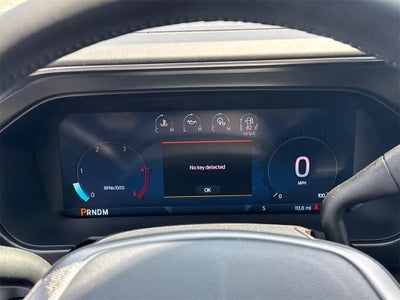 2025 Ford Super Duty F-250 SRW Platinum