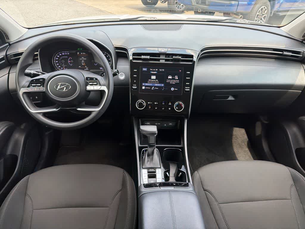 Photo 19